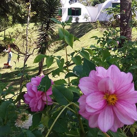 Pousada Igloo Campos do Jordão Eksteriør billede