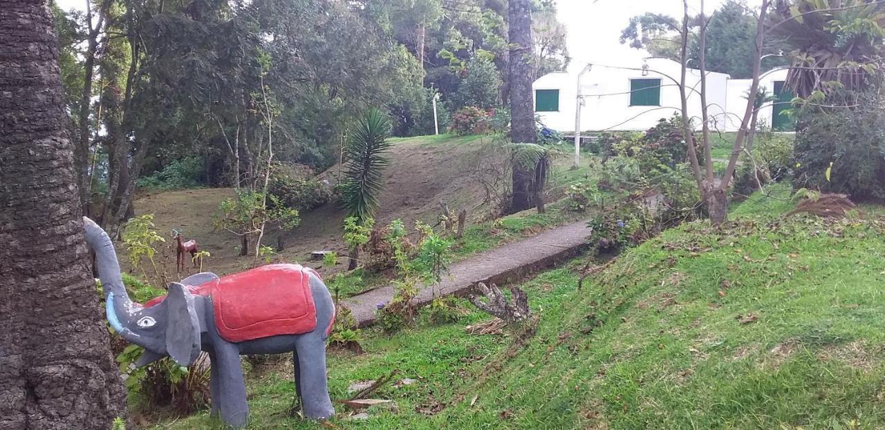 Pousada Igloo Campos do Jordão Eksteriør billede